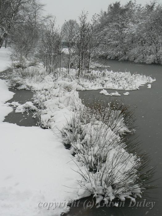 Snow, Blackheath P1070118.JPG